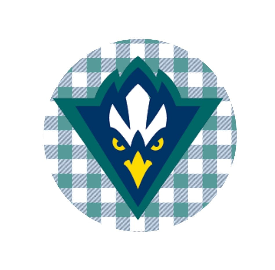 UNCW Gameday Gift